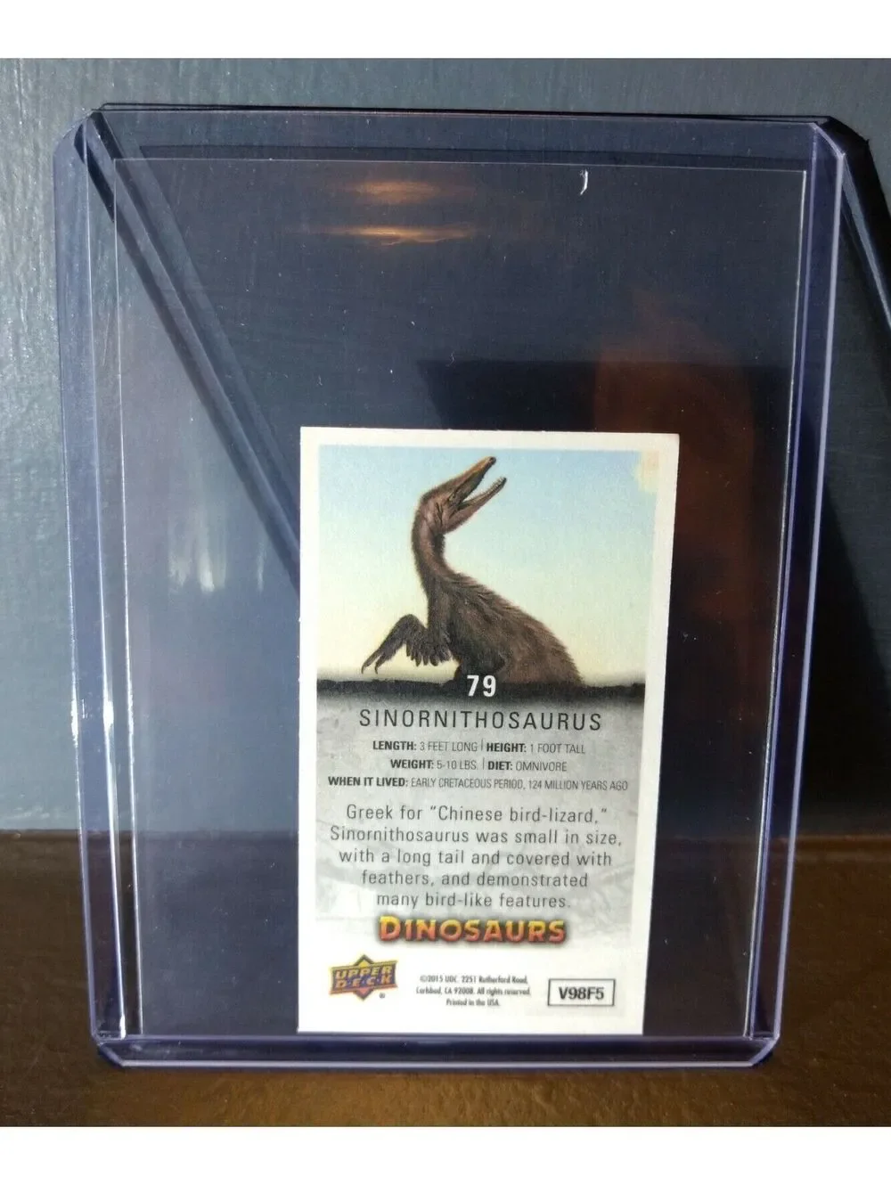 2015 Upper Deck Dinosaurs Canvas Mini Sinornithosaurus #79 Trading Card